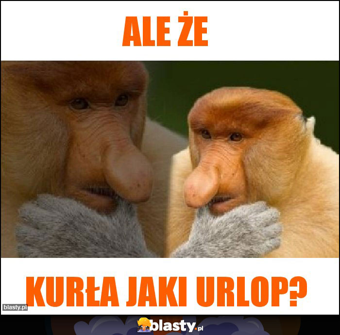 ALE ŻE