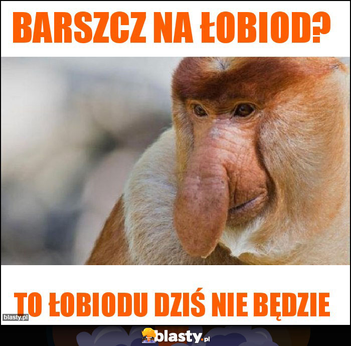 Barszcz na łobiod? Barszcz na łobiod?