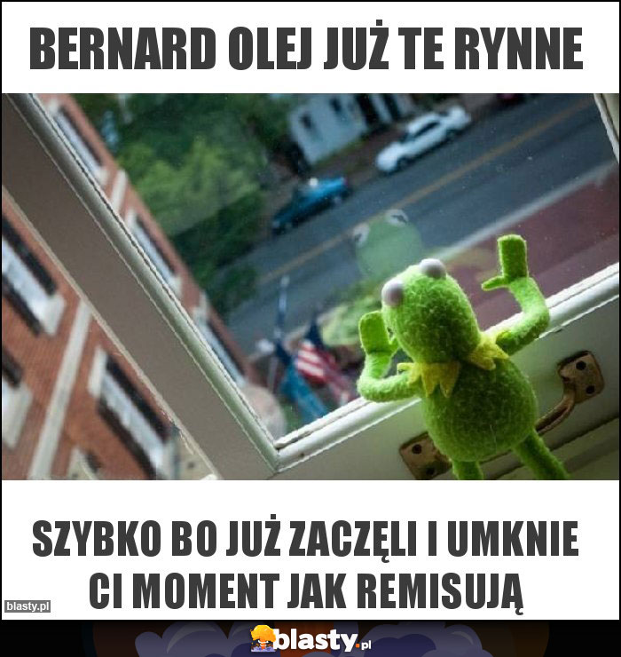 Bernard olej już te rynne Bernard olej już te rynne