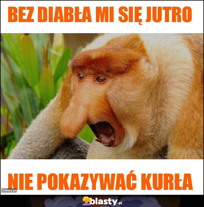 Bez diabła mi się jutro Bez diabła mi się jutro