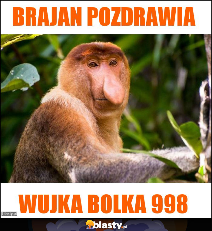 Brajan pozdrawia Brajan pozdrawia