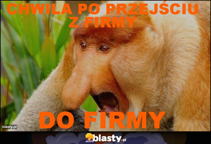 Chwila po przejściu z firmy Chwila po przejściu z firmy