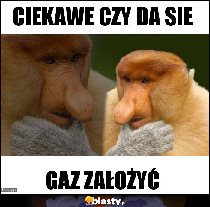 ciekawe czy da sie ciekawe czy da sie