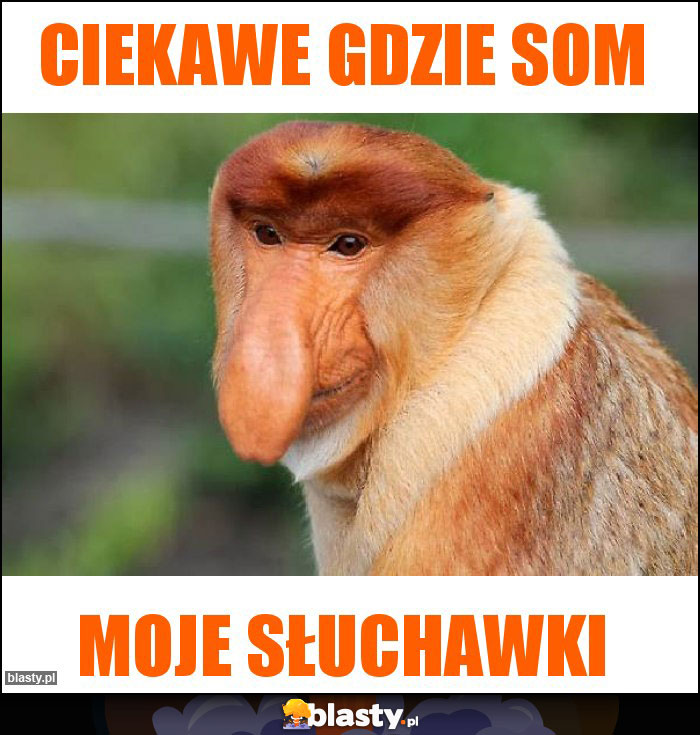 Ciekawe gdzie som Ciekawe gdzie som