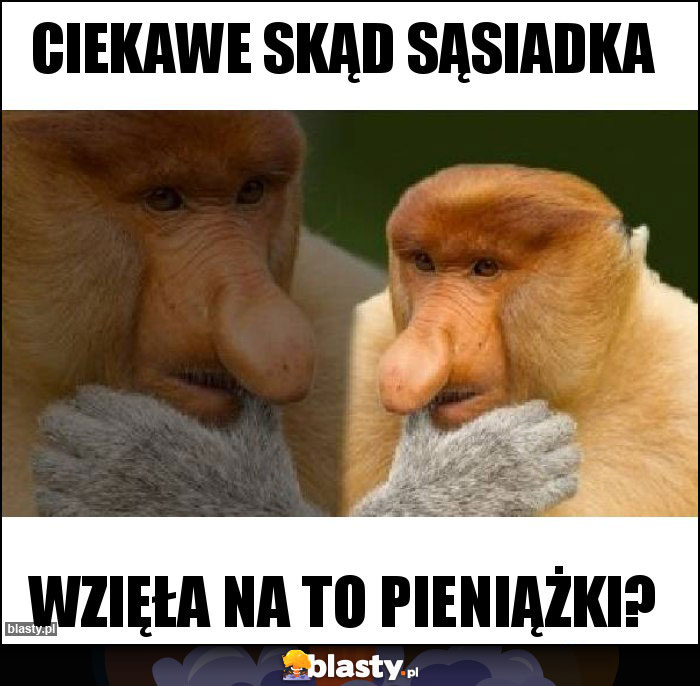 Ciekawe skąd sąsiadka Ciekawe skąd sąsiadka
