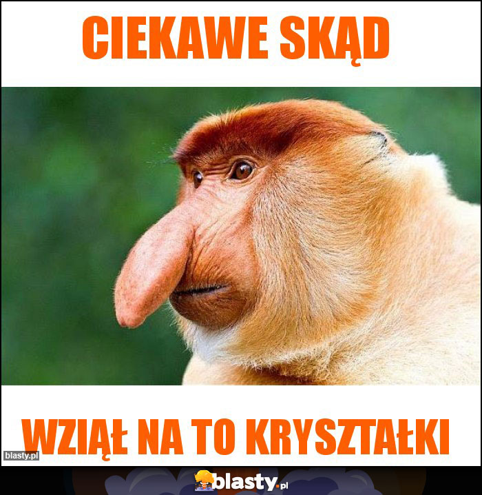 Ciekawe skąd Ciekawe skąd