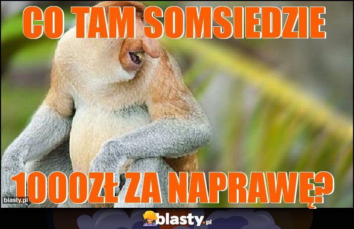 Co tam somsiedzie Co tam somsiedzie