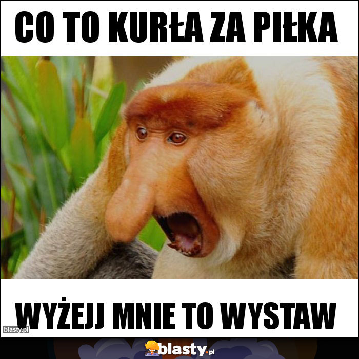 CO TO KURŁA ZA PIŁKA CO TO KURŁA ZA PIŁKA