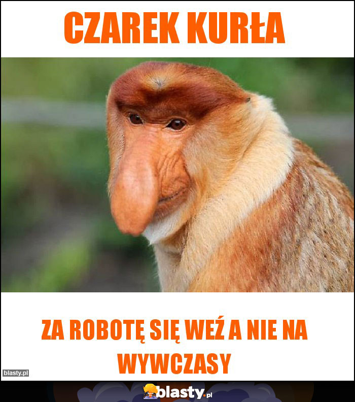 Czarek kurła Czarek kurła