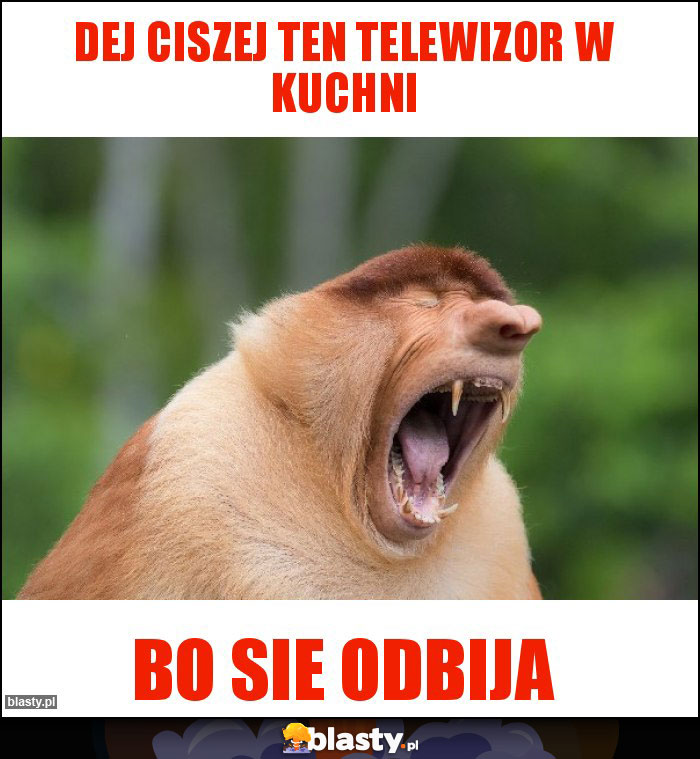 Dej ciszej ten telewizor w kuchni Dej ciszej ten telewizor w kuchni