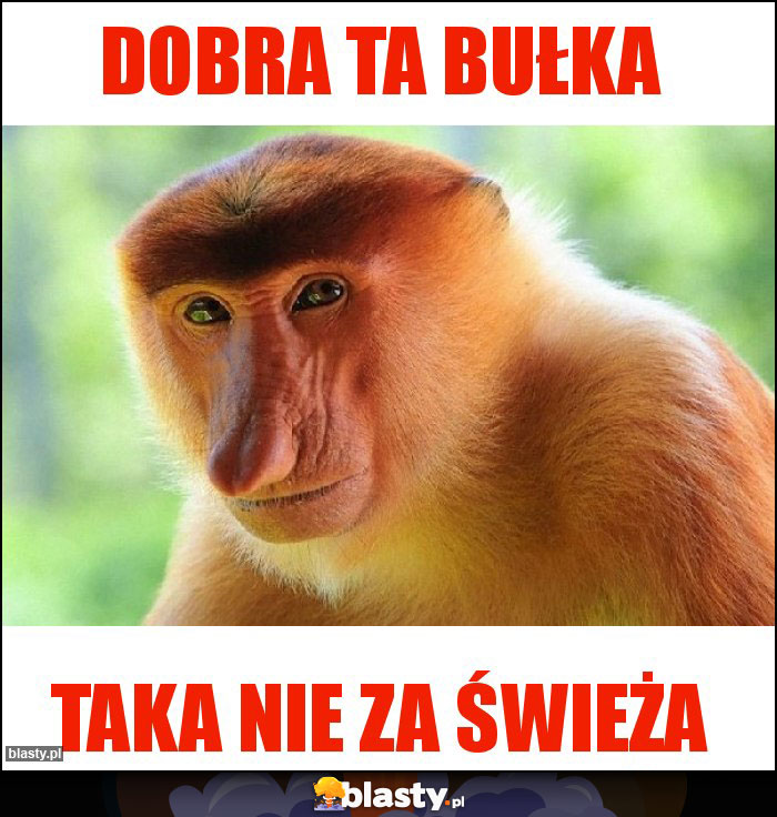 Dobra ta bułka Dobra ta bułka