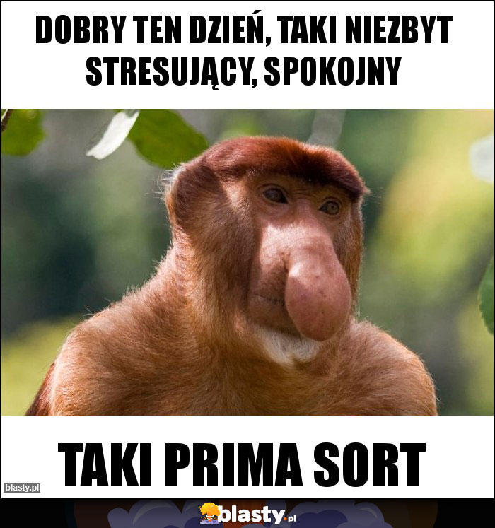 Dobry ten dzień, taki niezbyt stresujący, spokojny Dobry ten dzień, taki niezbyt stresujący, spokojny