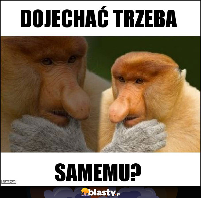 Dojechać trzeba Dojechać trzeba