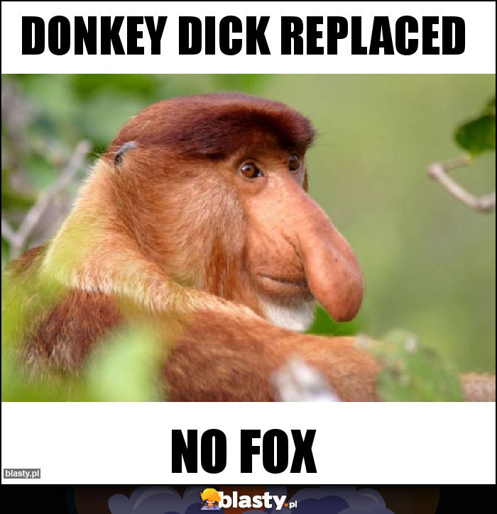 DONKEY DICK REPLACED DONKEY DICK REPLACED