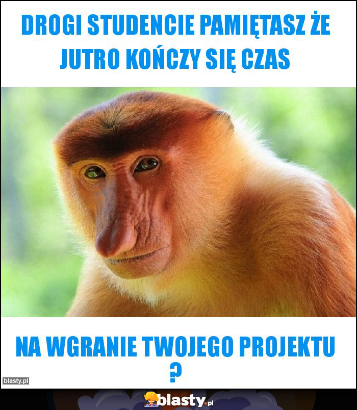 Drogi studencie pamiętasz że jutro kończy się czas Drogi studencie pamiętasz że jutro kończy się czas