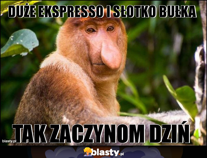 DUŻE EKSPRESSO I SŁOTKO BUŁKA