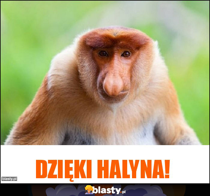 Dzięki Halyna!