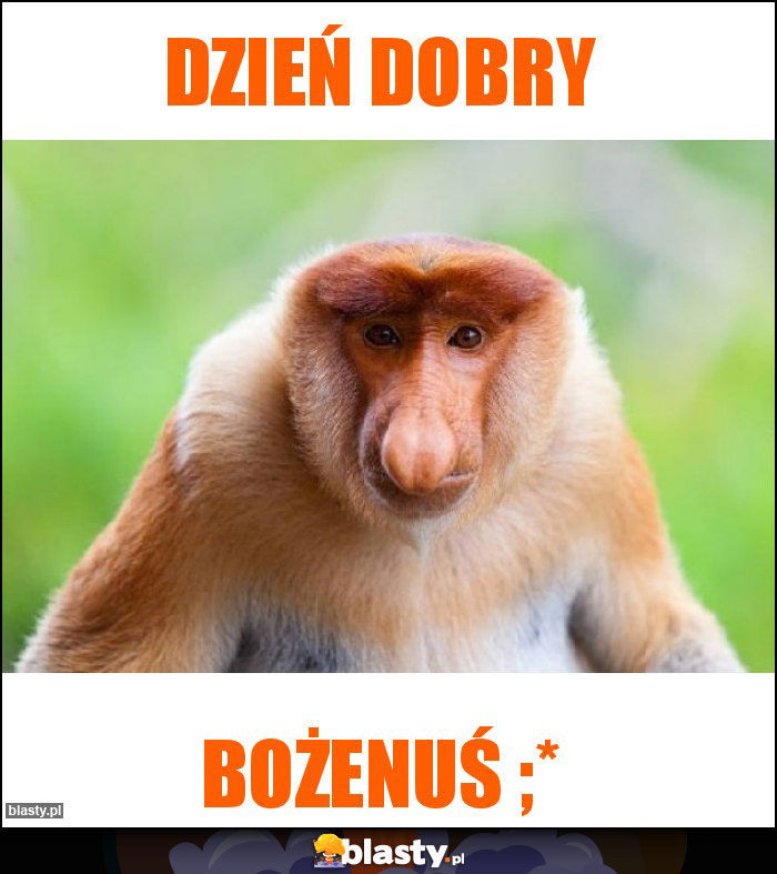 Dzień dobry