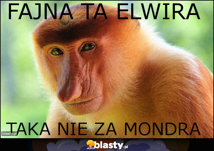 FAJNA TA ELWIRA FAJNA TA ELWIRA