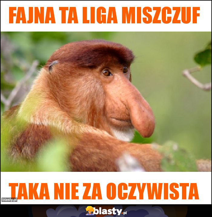 fajna ta liga miszczuf fajna ta liga miszczuf