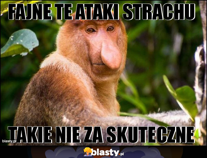 Fajne te ataki strachu Fajne te ataki strachu