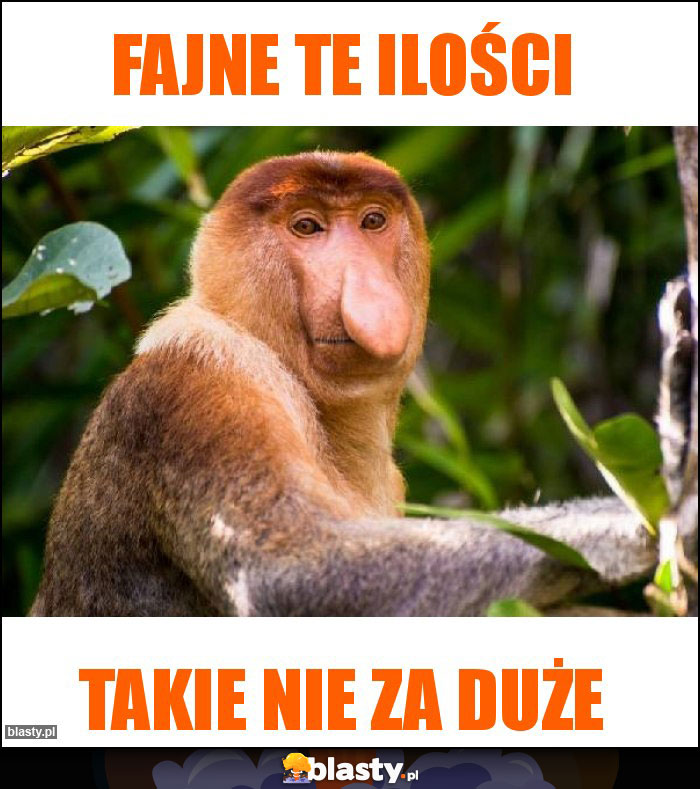 fajne te ilości fajne te ilości