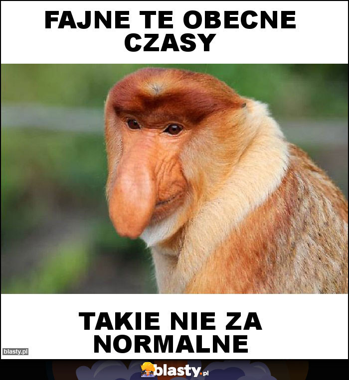 Fajne te obecne czasy Fajne te obecne czasy