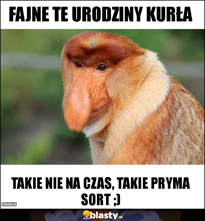 Fajne te urodziny kurła