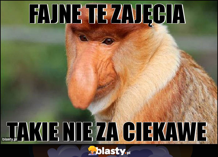 Fajne te zajęcia Fajne te zajęcia