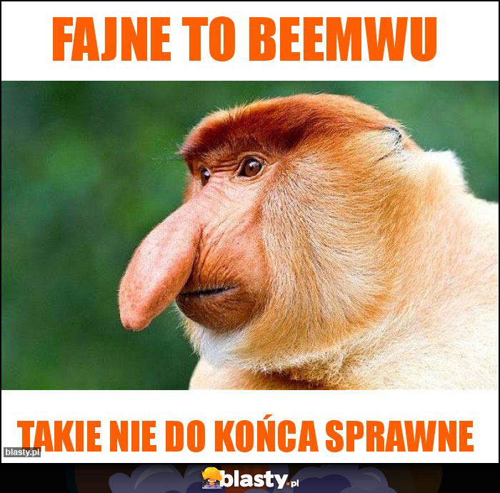 Fajne to beemwu Fajne to beemwu