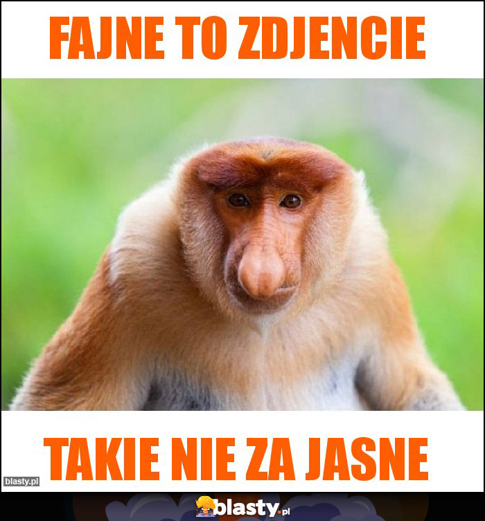 Fajne to zdjencie Fajne to zdjencie