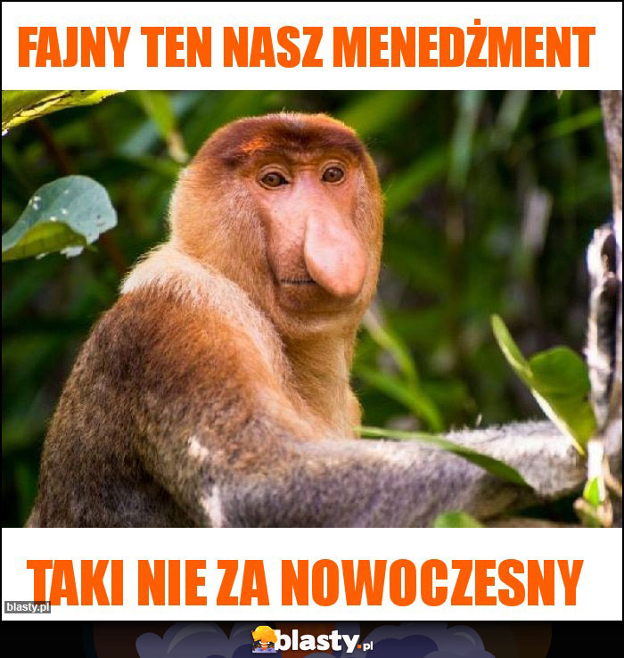 Fajny ten nasz menedżment Fajny ten nasz menedżment