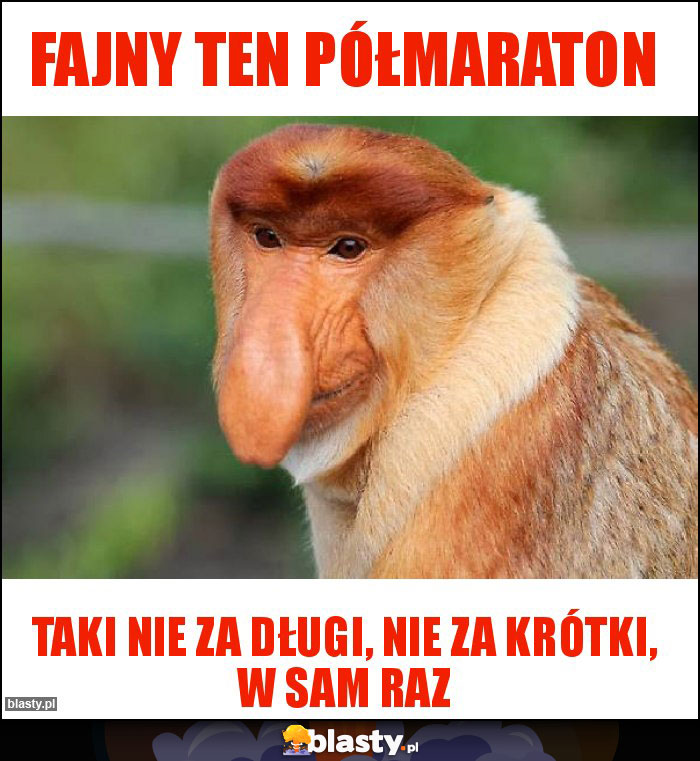 Fajny ten półmaraton Fajny ten półmaraton