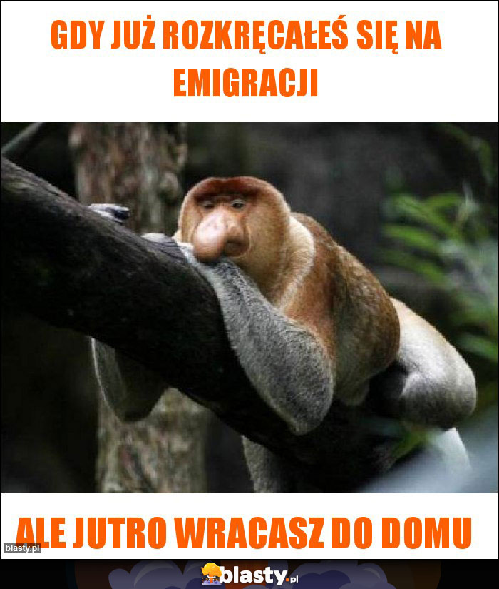 Gdy już rozkręcałeś się na emigracji Gdy już rozkręcałeś się na emigracji