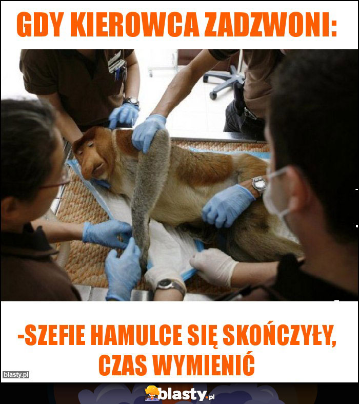 GDY KIEROWCA ZADZWONI: GDY KIEROWCA ZADZWONI: