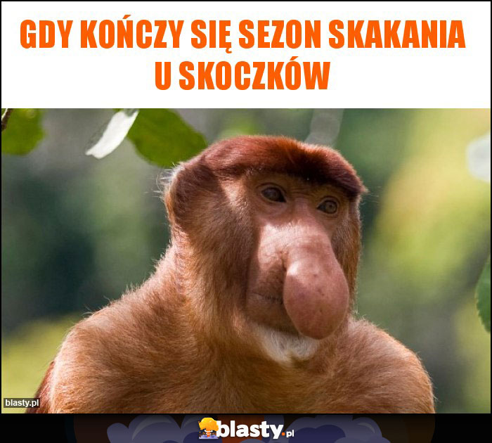 Gdy kończy się sezon skakania u skoczków Gdy kończy się sezon skakania u skoczków