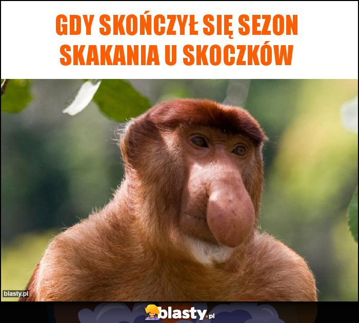 Gdy skończył się sezon skakania u skoczków Gdy skończył się sezon skakania u skoczków