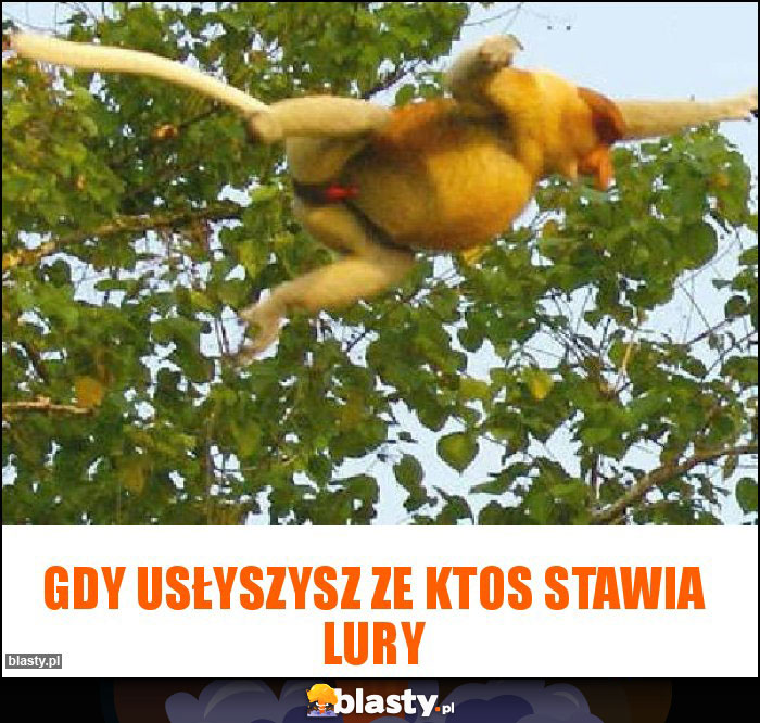 gdy usłyszysz ze ktos stawia lury gdy usłyszysz ze ktos stawia lury