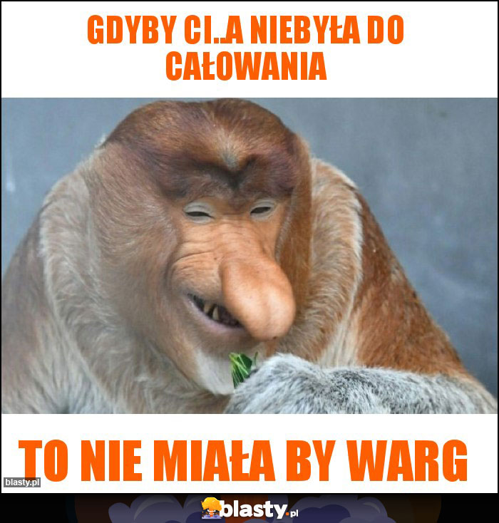 Gdyby Ci..a niebyła do całowania Gdyby Ci..a niebyła do całowania