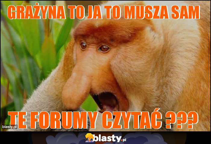 Grażyna to ja to musza sam Grażyna to ja to musza sam
