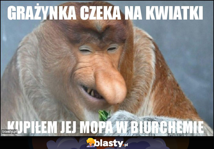 Grażynka czeka na kwiatki Grażynka czeka na kwiatki