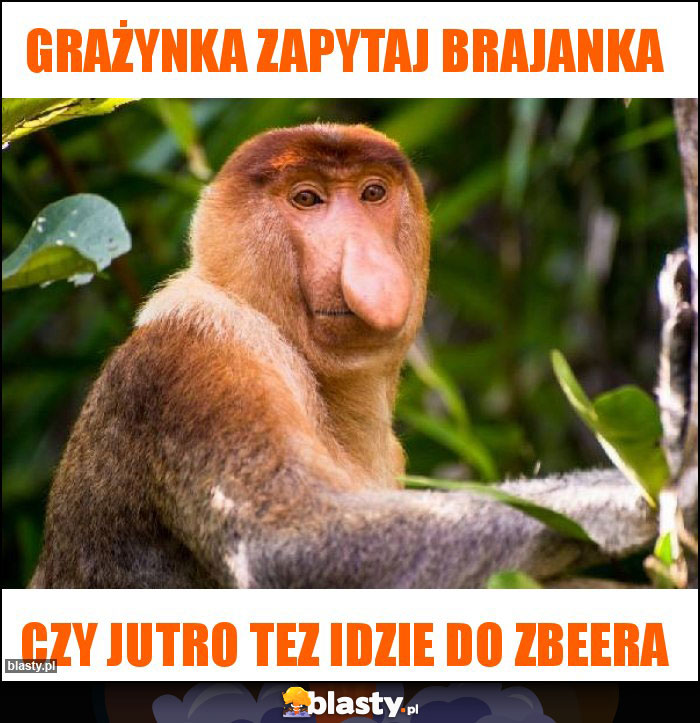 Grażynka zapytaj Brajanka Grażynka zapytaj Brajanka