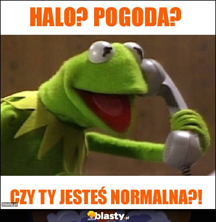 Halo? Pogoda? Halo? Pogoda?