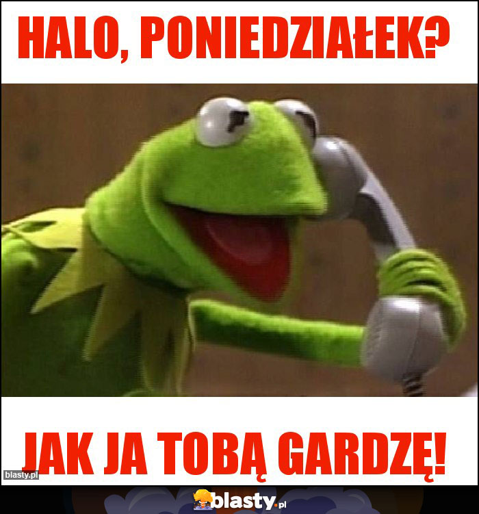 Halo, poniedziałek? Halo, poniedziałek?