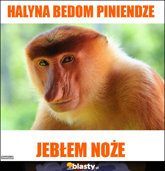 Halyna bedom piniendze