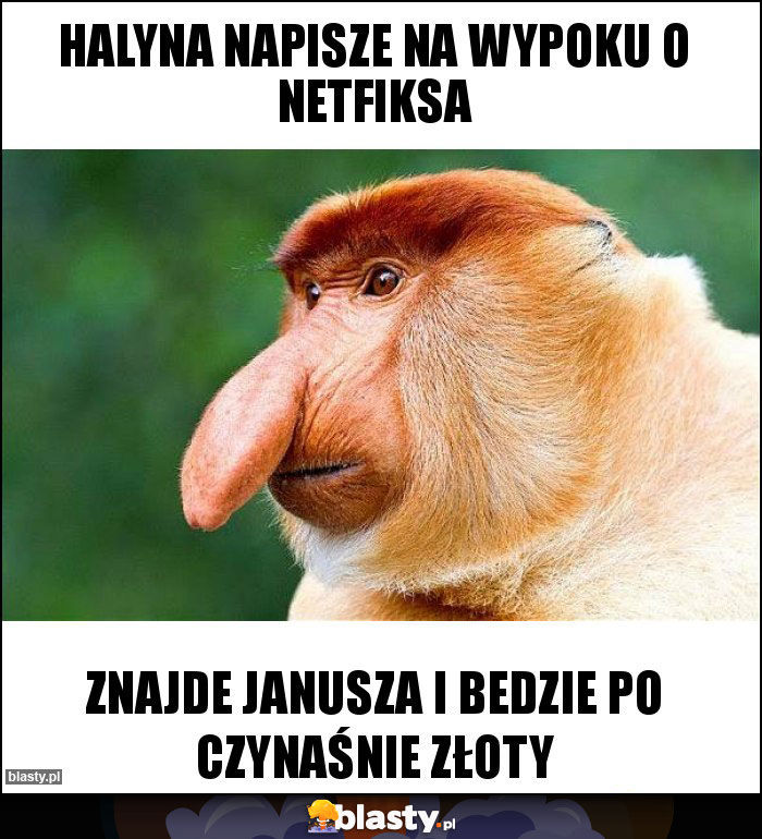 Halyna napisze na wypoku o netfiksa Halyna napisze na wypoku o netfiksa