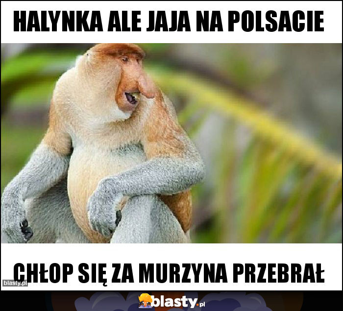 Halynka ale jaja na polsacie Halynka ale jaja na polsacie