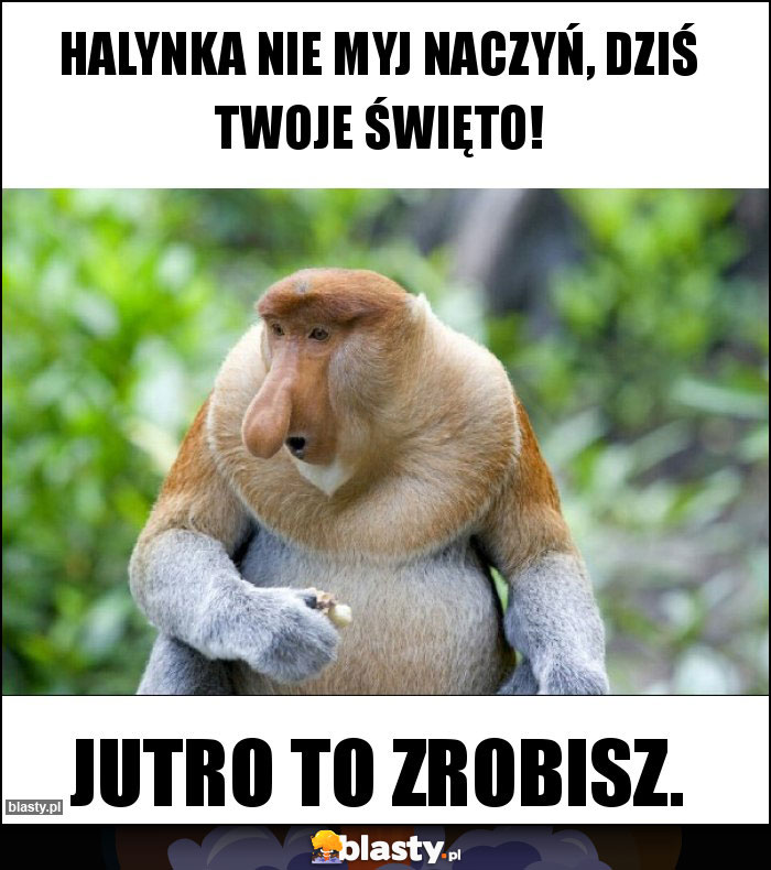 halynka Nie myj naczyń, dziś twoje święto! halynka Nie myj naczyń, dziś twoje święto!
