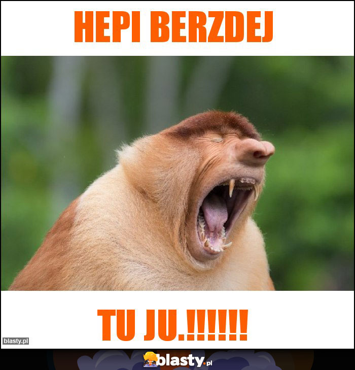 Hepi Berzdej Hepi Berzdej