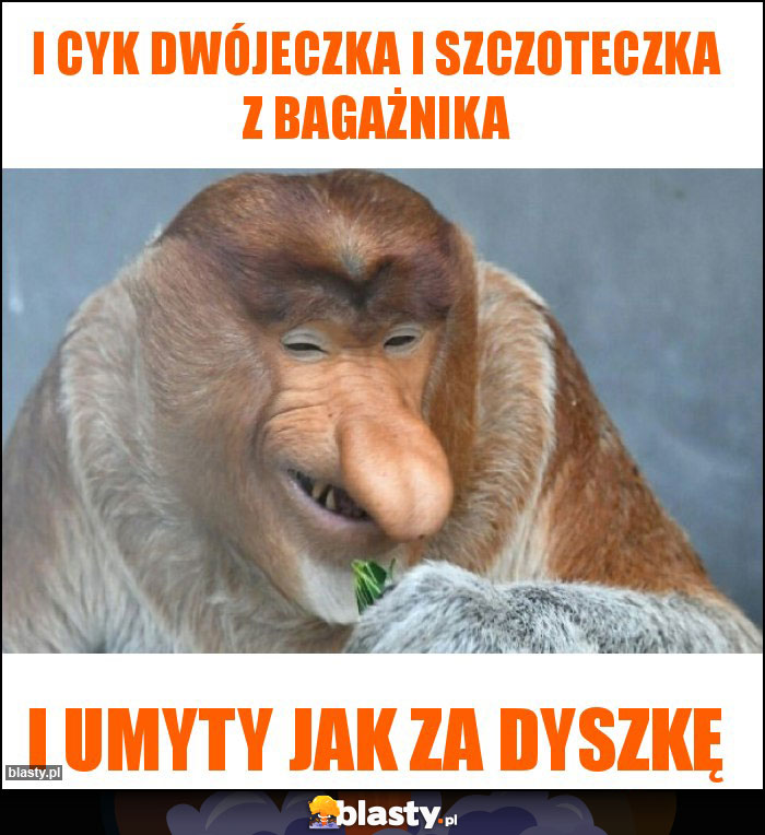I cyk dwójeczka i szczoteczka z bagażnika I cyk dwójeczka i szczoteczka z bagażnika